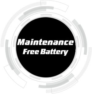 Maintenance Free Battery